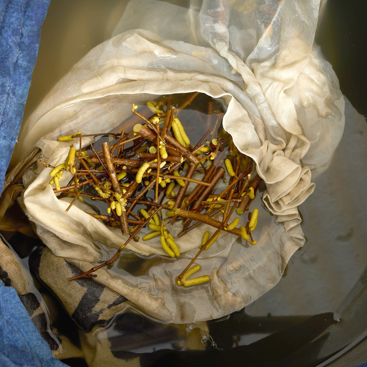 Wednesday 3 September 10-4 p.m.: Workshop: Foraging, Natural Dye and Mordant Printing with Sarah Burns