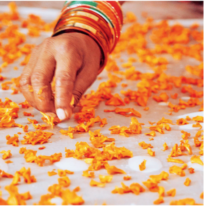Saturday 6 September, 6-7 pm: Online Talk, From Seed to Garment: Decolonising Ethical Fashion with Madhu Vaishnav of Saheli Women