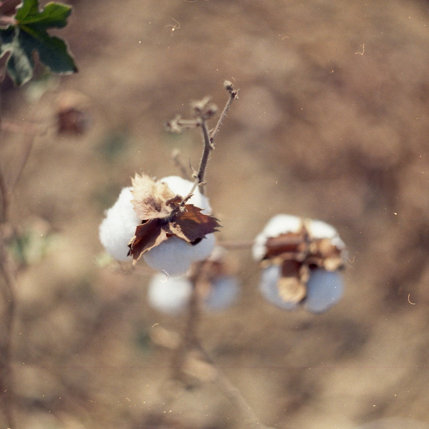 Friday 12 September-30 January, 9-5 p.m.: Exhibition: New Landscapes India