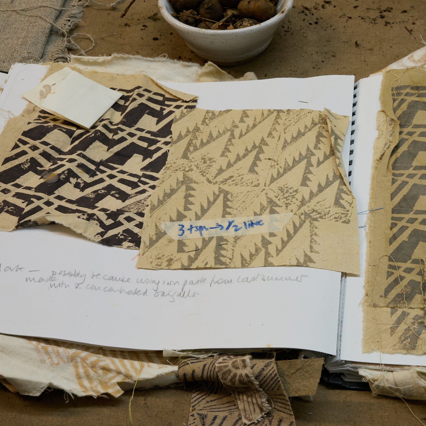 Wednesday 3 September 10-4 p.m.: Workshop: Foraging, Natural Dye and Mordant Printing with Sarah Burns