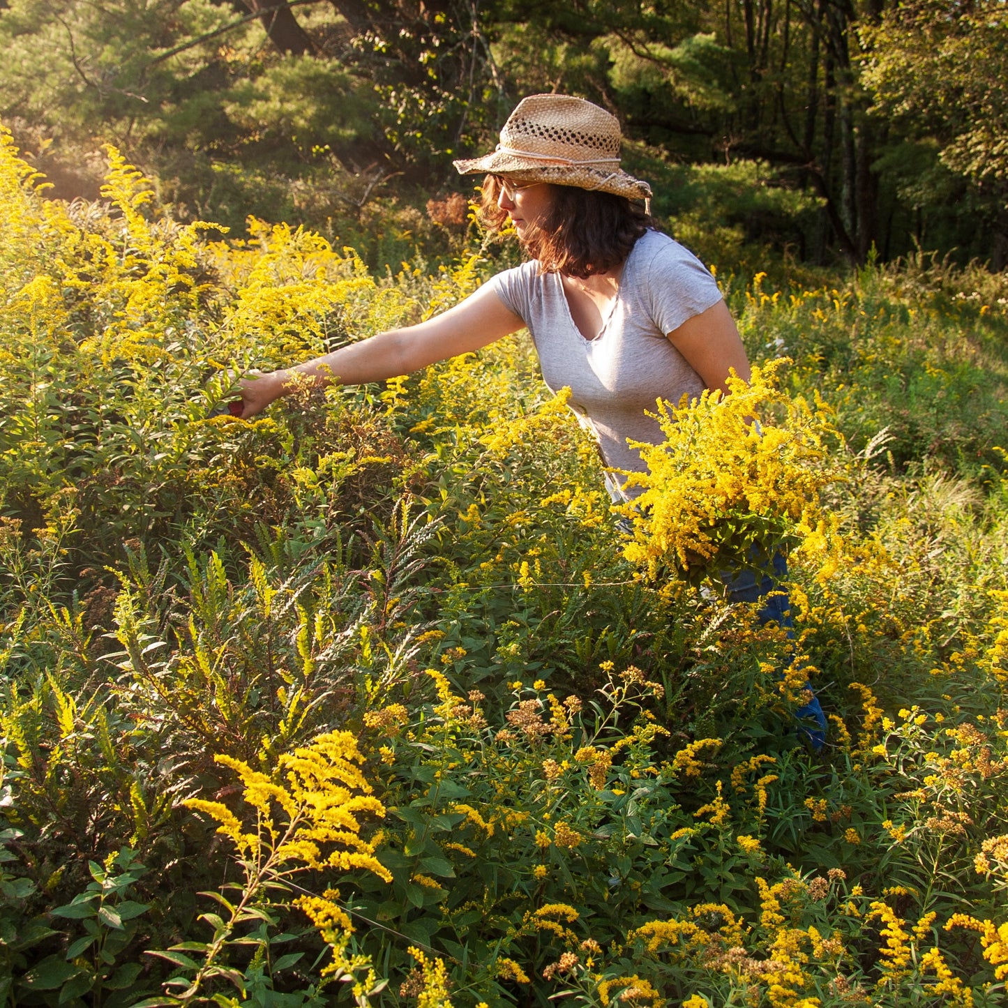Saturday 6 & 13 June 2026, 2 - 5pm BST: Floral Pigments & Botanical Fabric Painting with Natalie Stopka