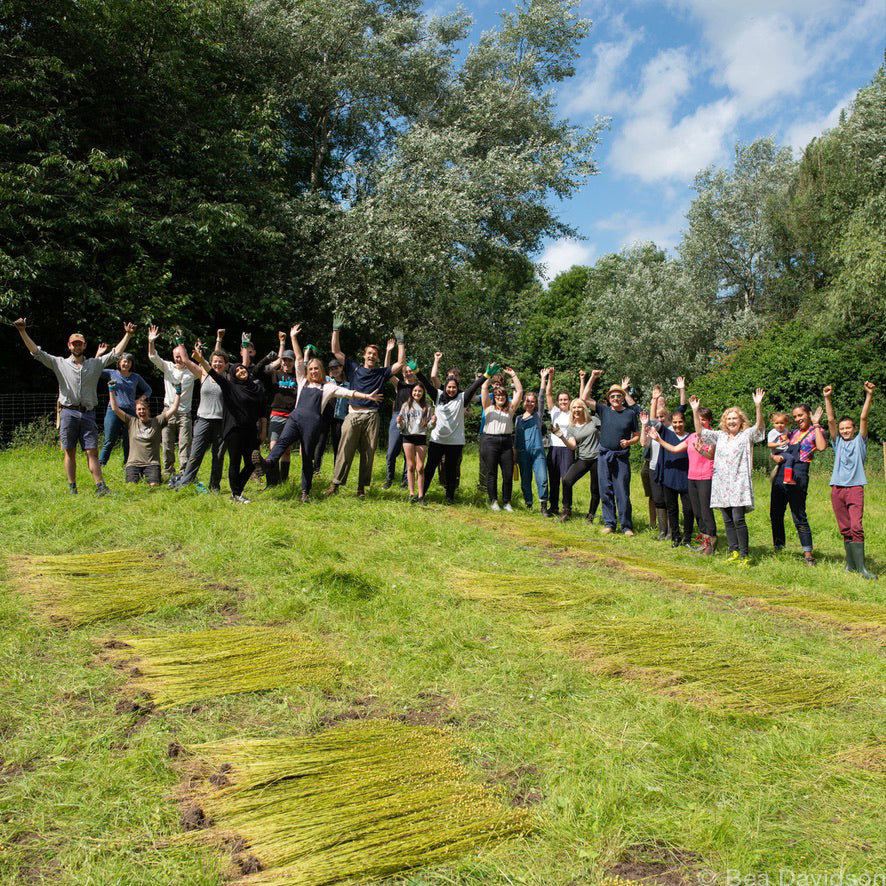 Saturday 6 September, 5.30-6.30 p.m.: Workshop: Intuitive Embroidery with Justine Aldersey-Williams of Northern England Fibreshed