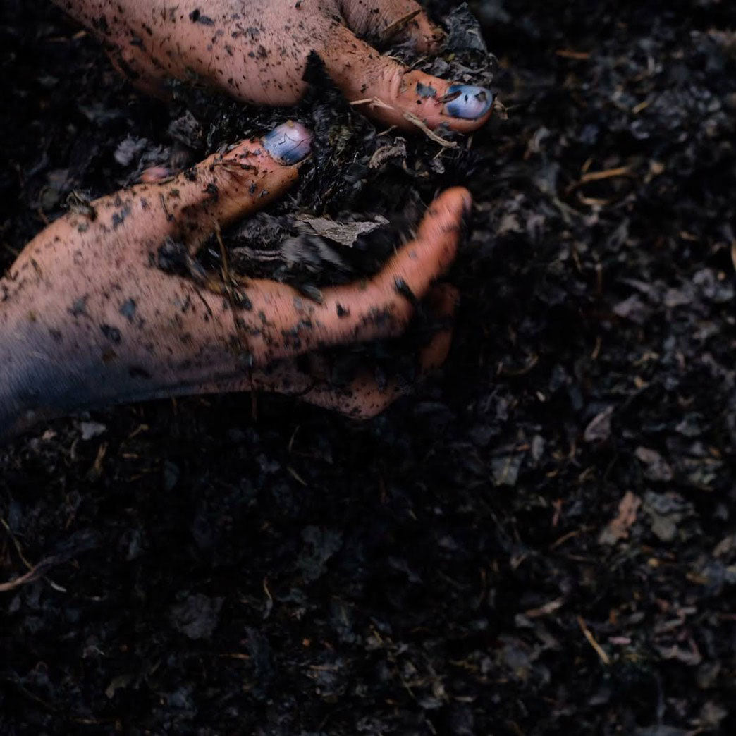 Japan, Awonoyoh / Takayuki Ishii, Indigo Dyeing