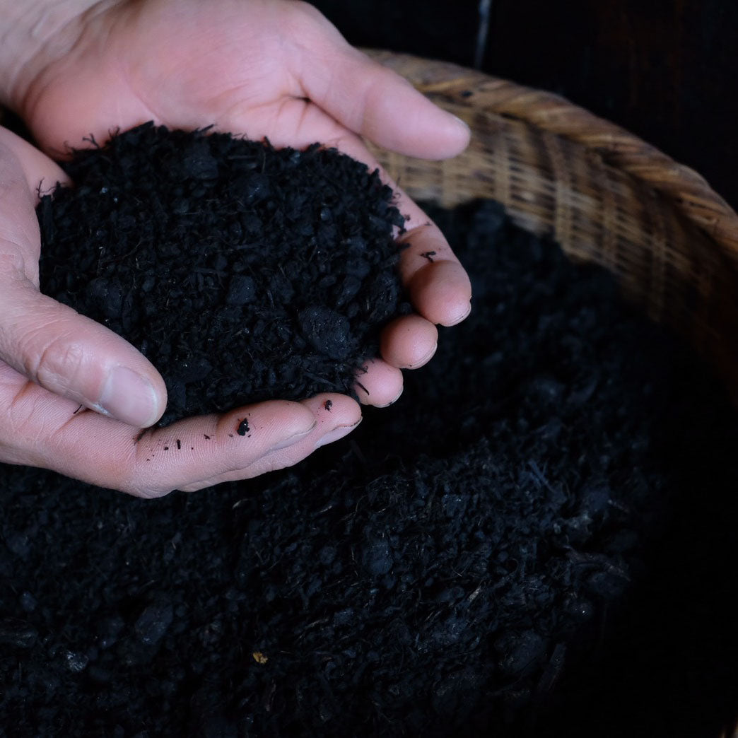 Japan, Awonoyoh / Takayuki Ishii, Indigo Dyeing