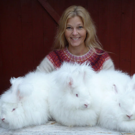 Episode 3 High Fibre