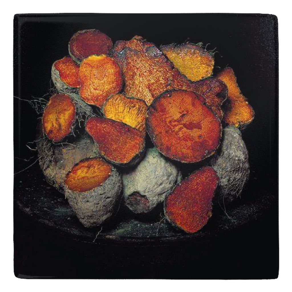 Set of 4 Fridge Magnets, Selvedge World Fair 2021