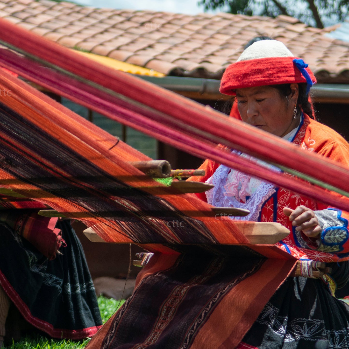 Back to Basics, hosted by Marcella Echavarria, Mexico