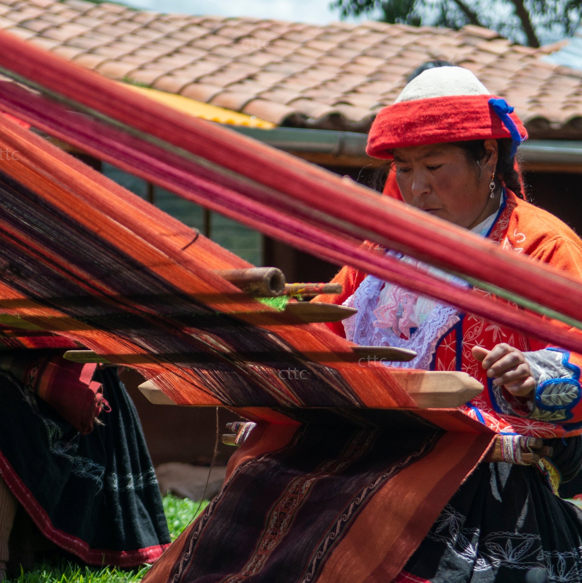 Back to Basics, hosted by Marcella Echavarria, Mexico