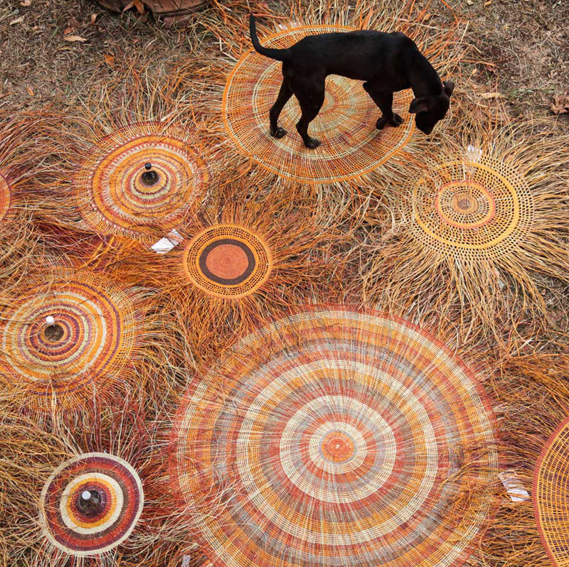 Episode 2 Plastic Fantastic