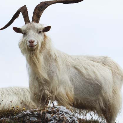 Episode 3 High Fibre