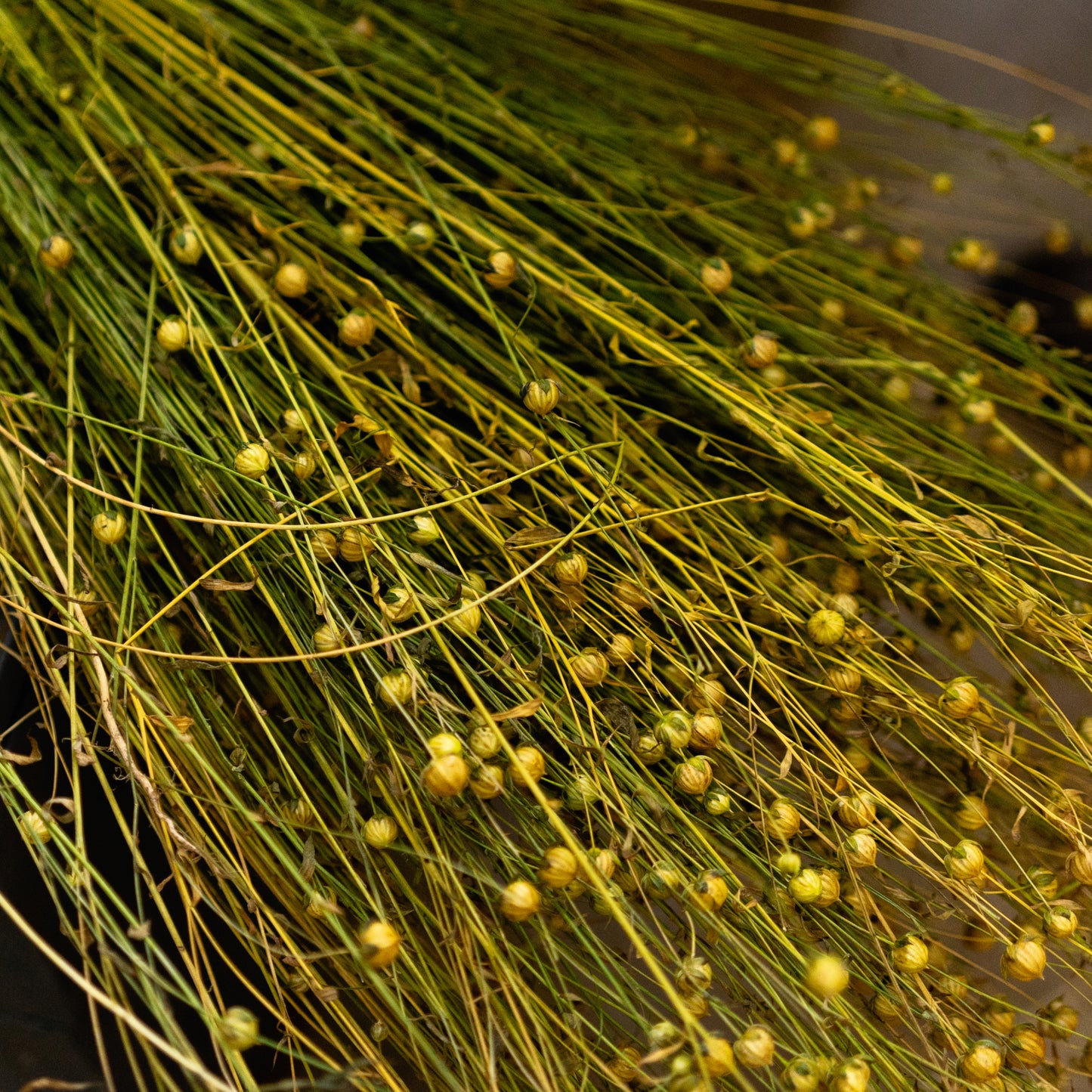 Slow TV, Linen Harvest