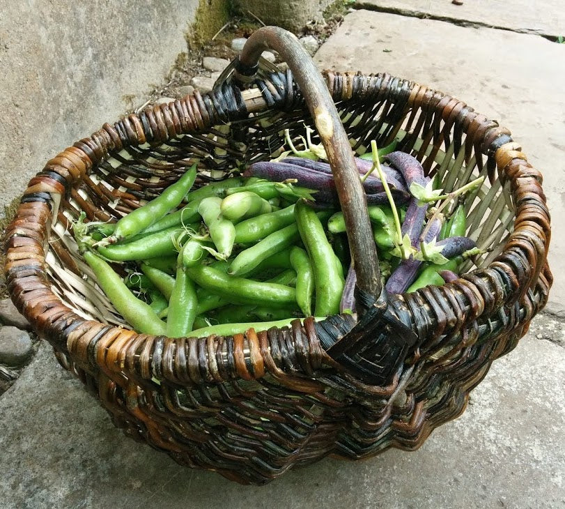 England, Hilary Burns, Basket Weaving