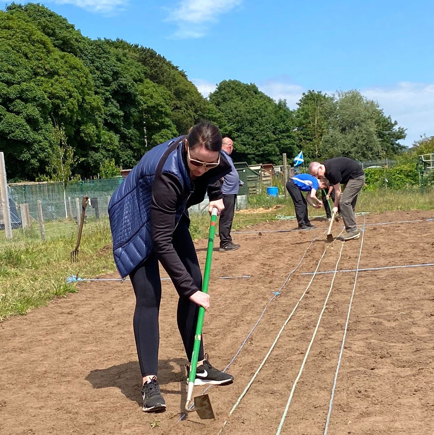 Slow TV, Linen Harvest