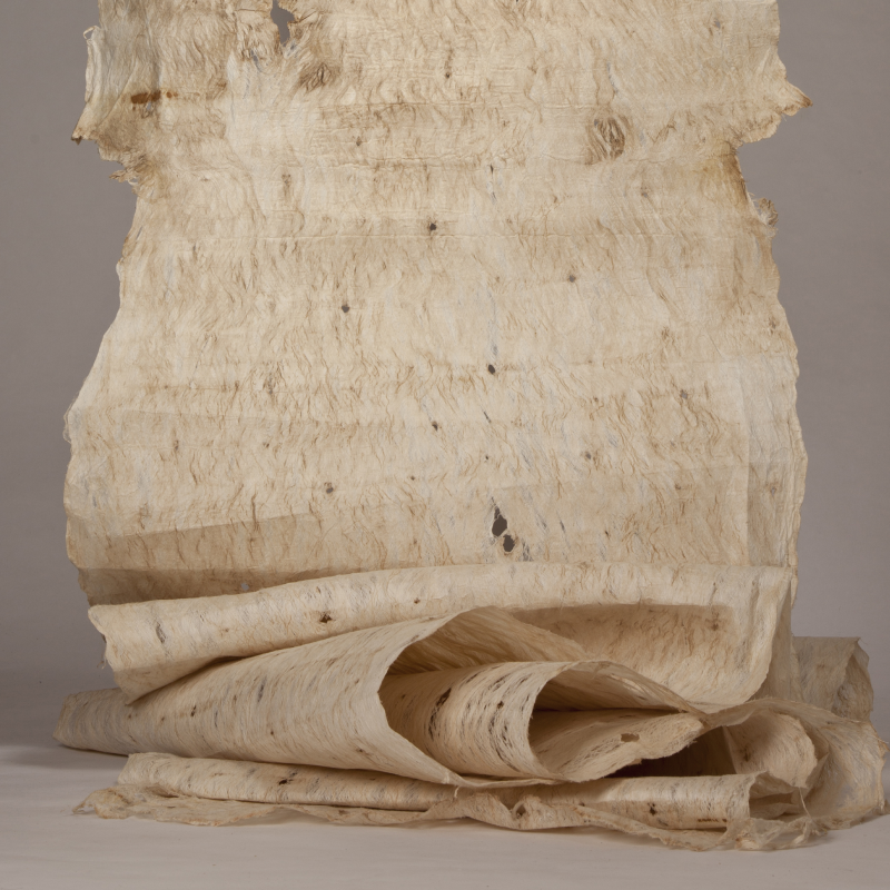 Barkcloth, Textile and Fibre Arts, hosted by The World Crafts Council, Aotearoa, New Zealand