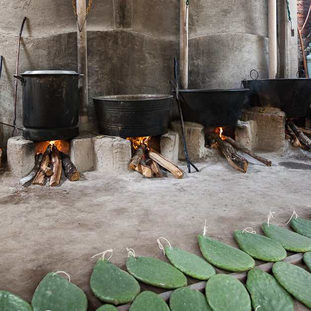 Mexico, Porfirio Gutiérrez, Zapotec Textiles