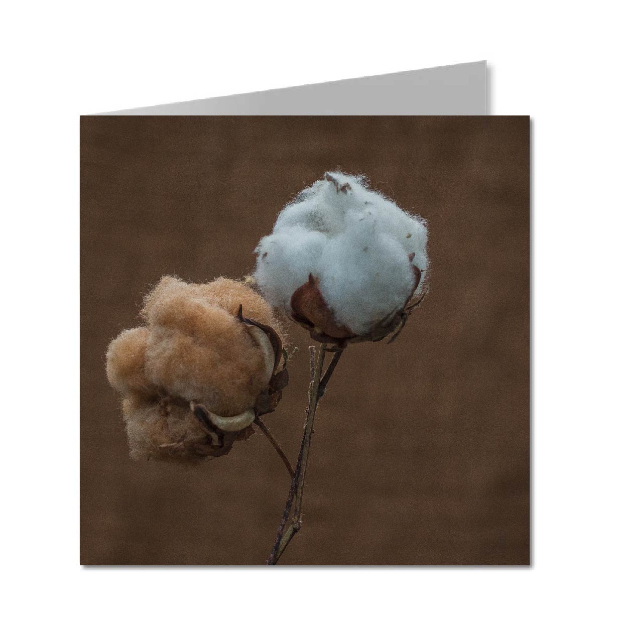 Folded Card, Selvedge World Fair 2021.