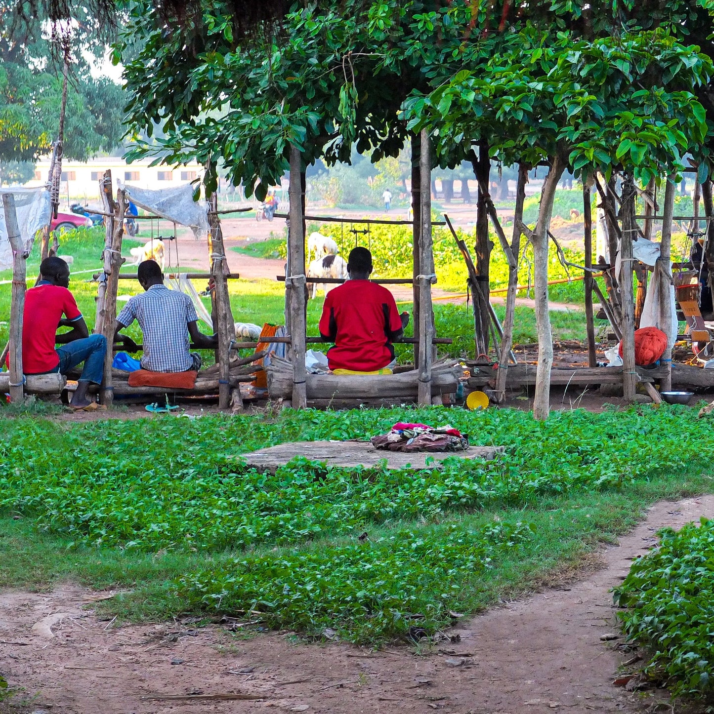 Ivory Coast & USA Cross Cultural Collaboration, Five | Six Textiles, Weaving
