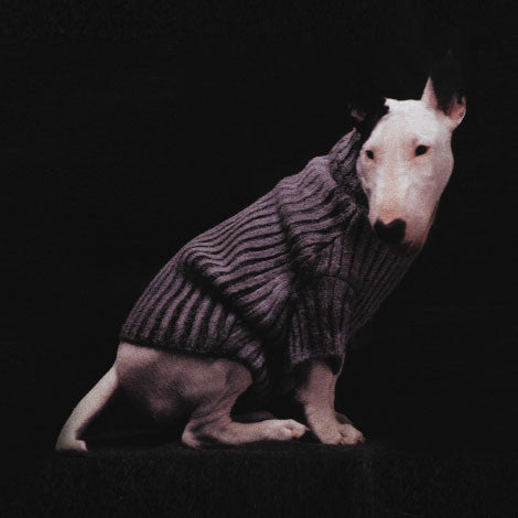 Issue 38 Zoological - Selvedge Magazine
