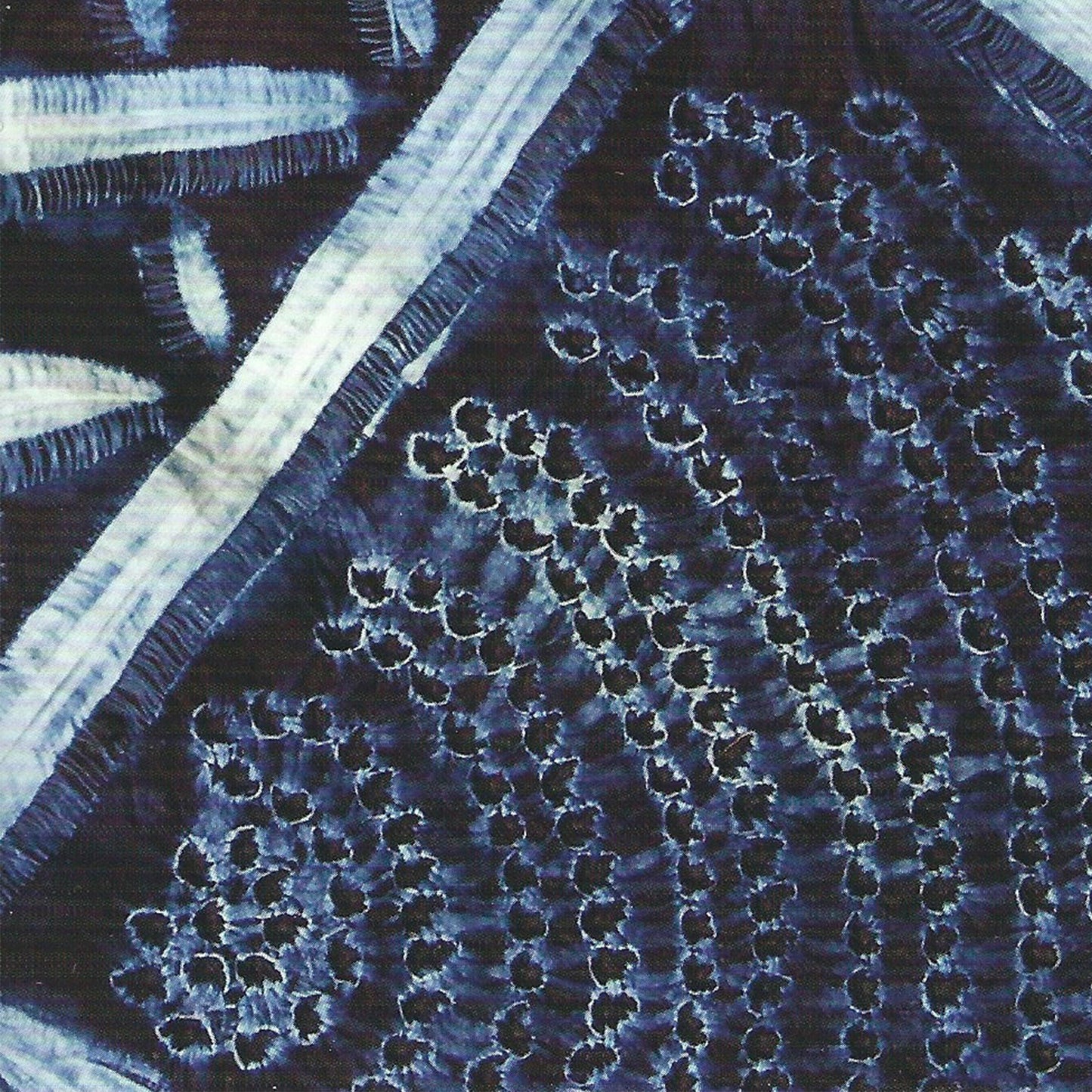 Mary Lance, Documentary, Blue Alchemy: Stories of Indigo