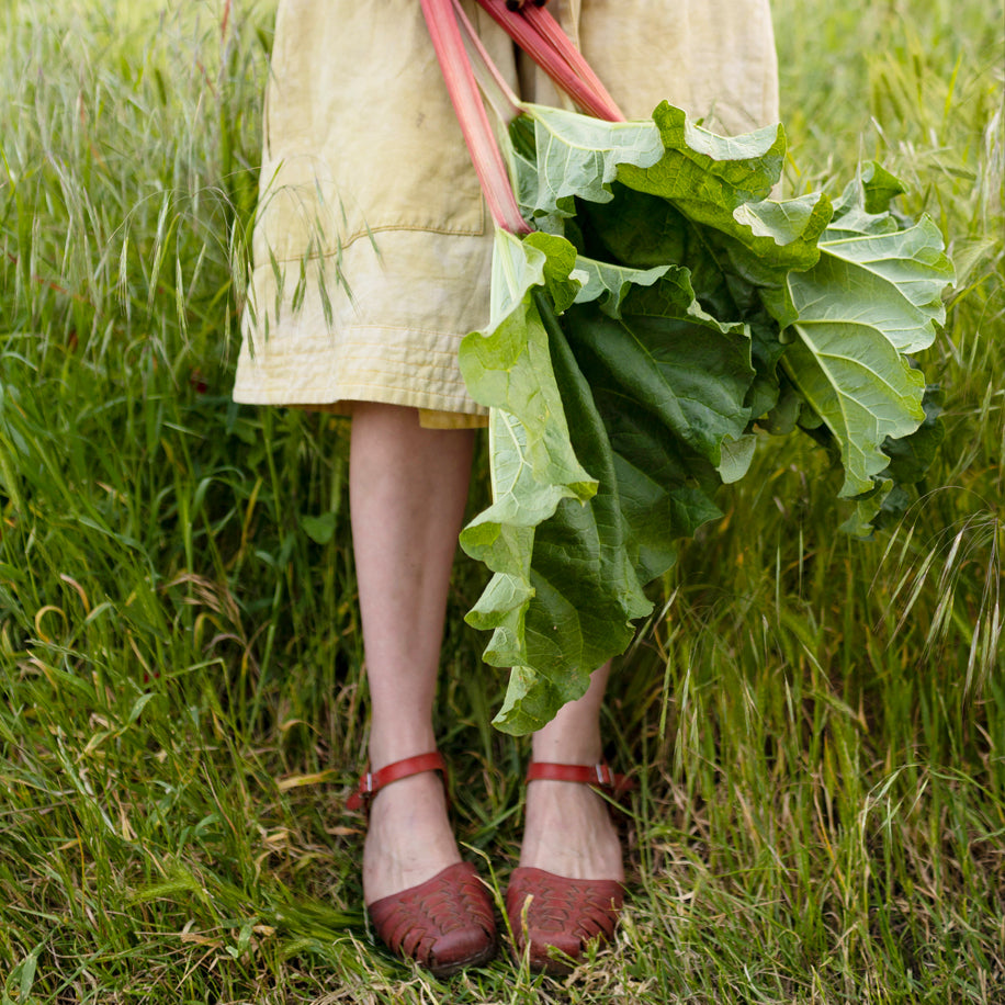 How to Make Rhubarb Bolero with Bella Gonshorovitz