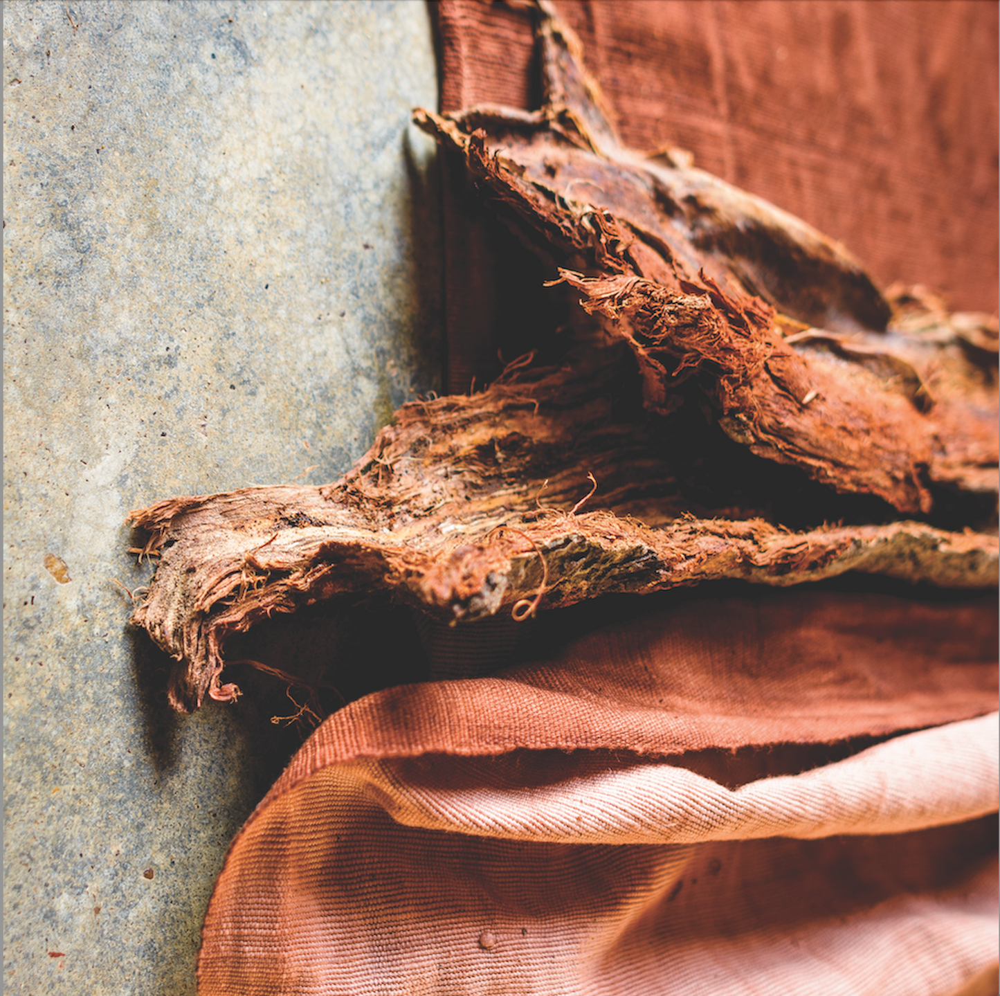 Mali, Le Ndomo, Natural Dyeing