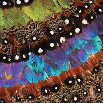 United States, Los Angeles, California, Online Collection, FIDM Museum