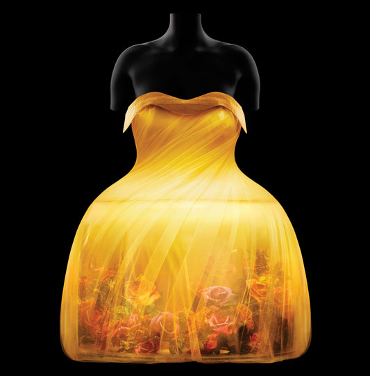 Sleeping Beauties: Reawakening Fashion