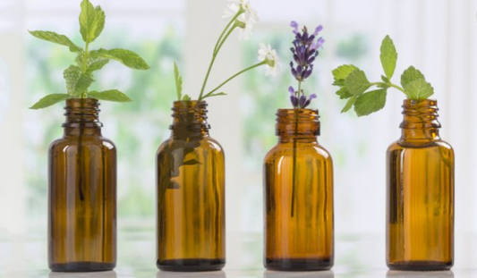 The Goddess Of Youth