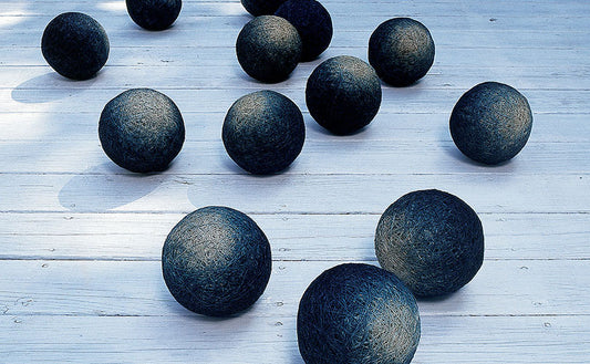 Lives Well-Lived: Hiroyuki Shindo (1941-2024)