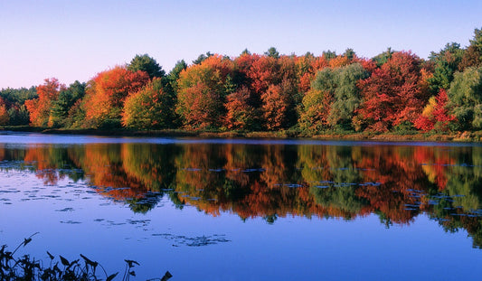 Exploring Massachusetts