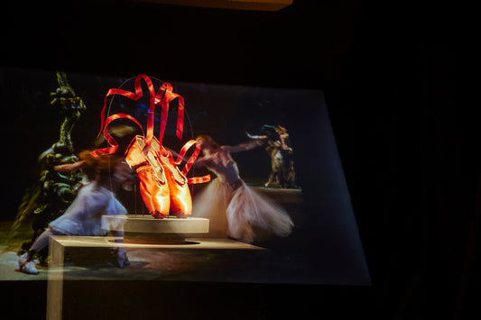 The Red Shoes: Beyond the Mirror