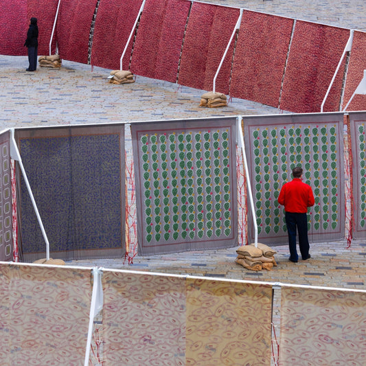 Imprinting a History: Salt Cosmologies by Hylozoic/Desires for Somerset House.