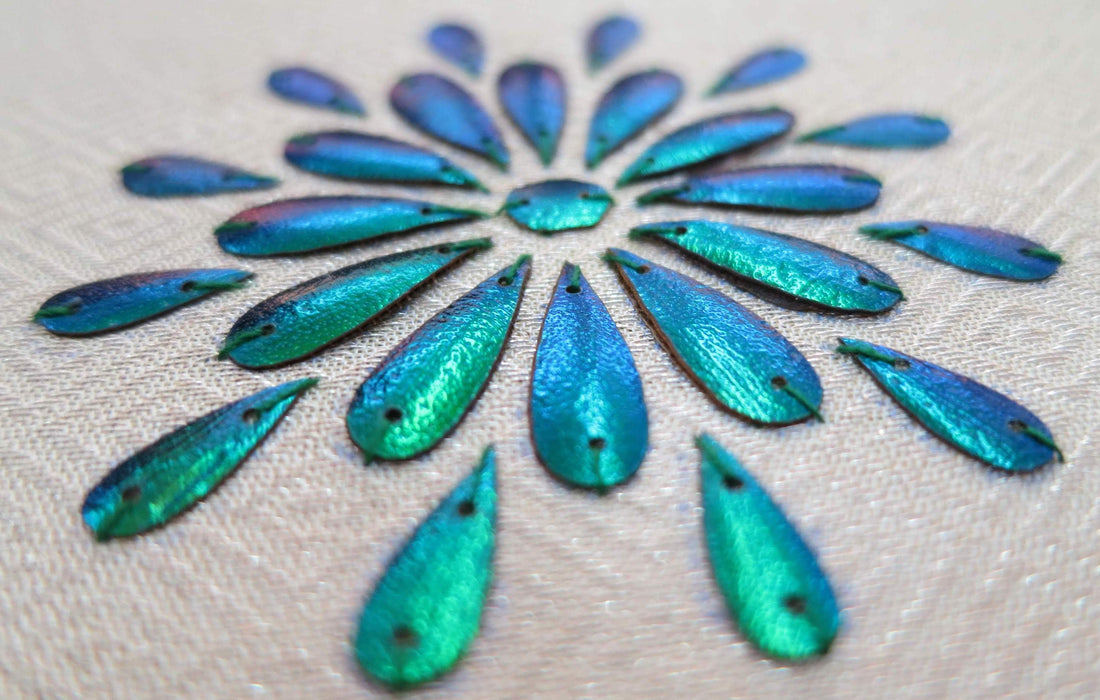 JEWEL TONES OF ELYTRA EMBROIDERY