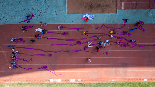 Ibrahim Mahama Purple Hibiscus