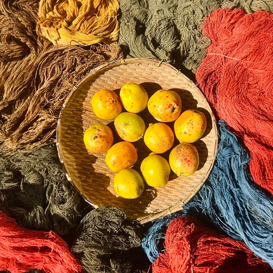 Colours of Bhutan: Cloth from the Wild Nettle