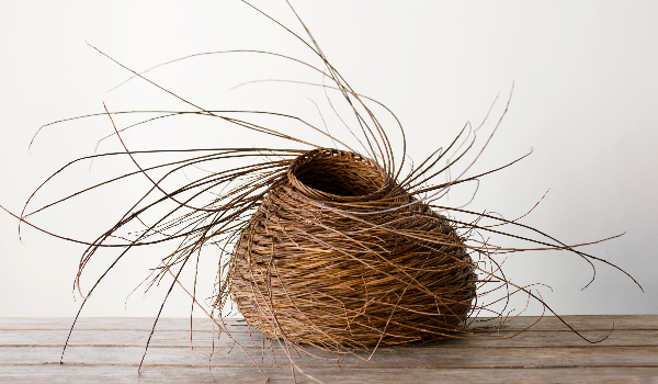 Sculpted In Willow