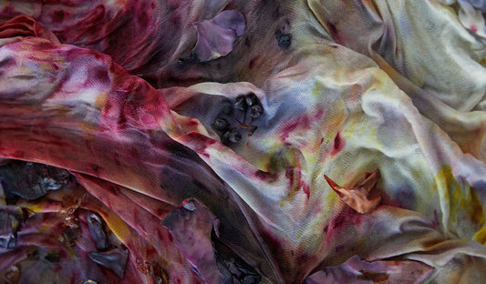 NATURE'S HIDDEN RAINBOW