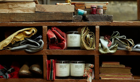 Candlelight Creatures