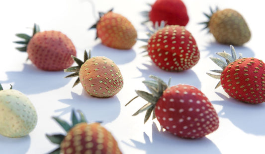 Bridget Bailey Strawberries