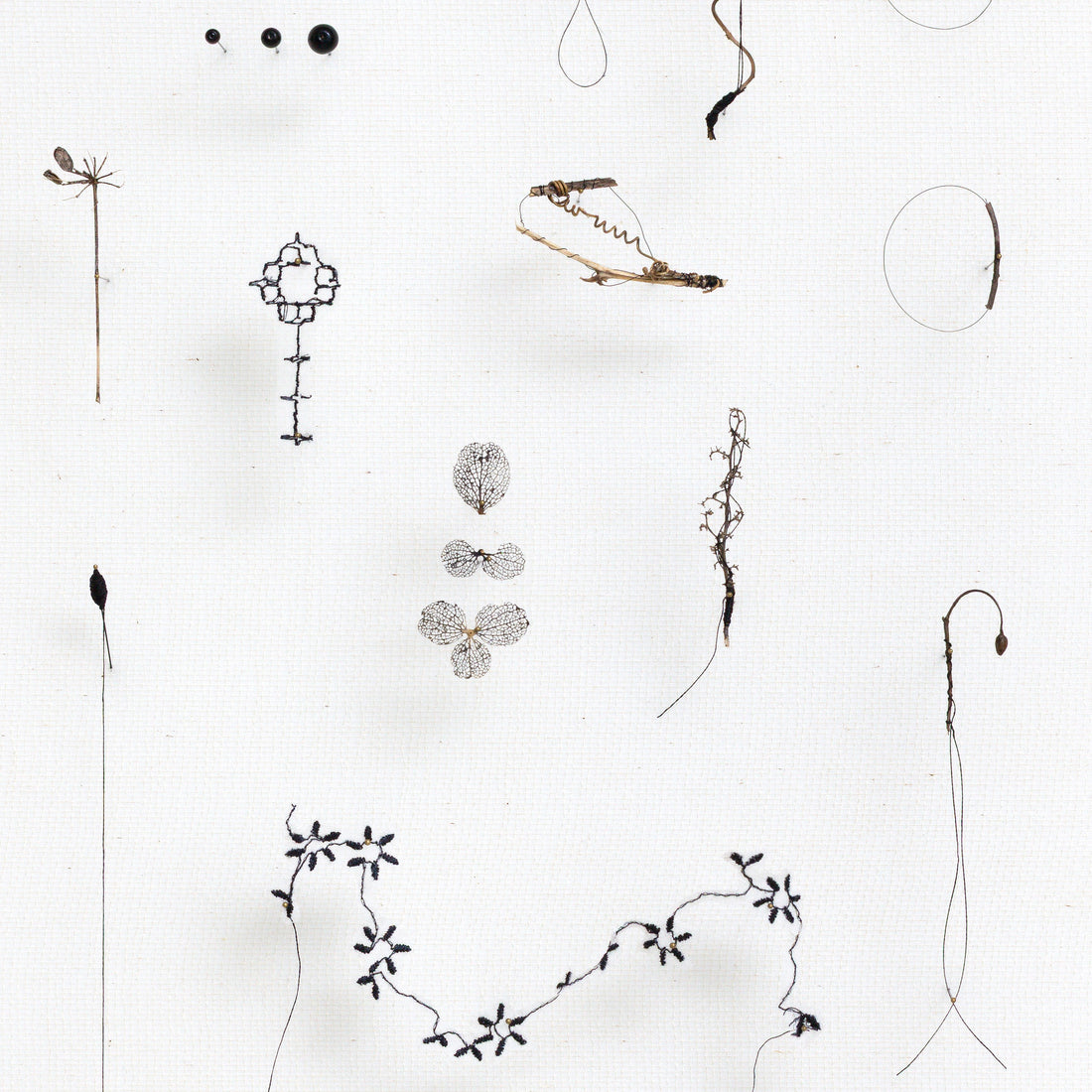 Five Minutes with a Friend: Anne ten Donkelaar