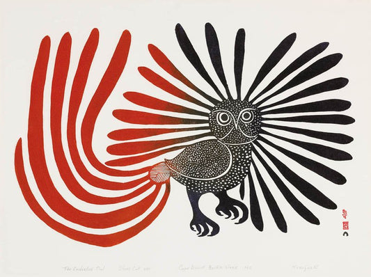 Win An Enchanted Owl Silk Scarf By Inunoo