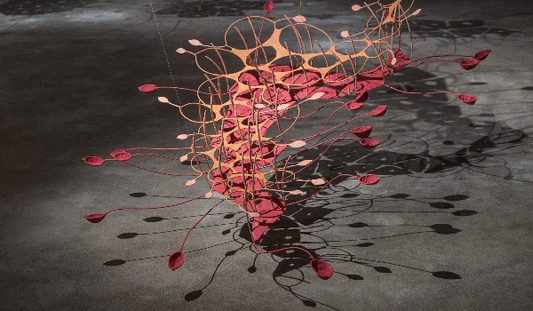 Seven Ponds And A Few Raindrops