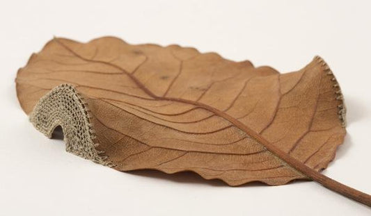 THE SCULPTURE IN CROCHET