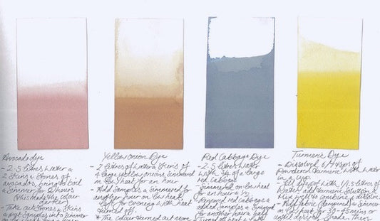 INTRODUCING: ELLIE WILLIAMS