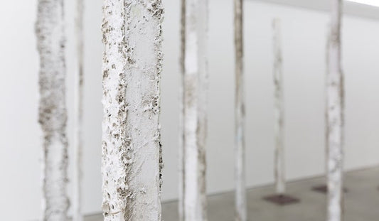 Love, Loss & Survival