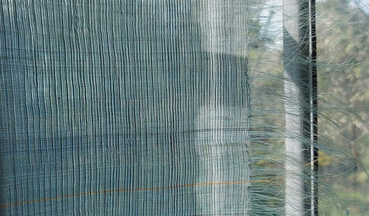 12 DAYS OF CHRISTMAS: HANNELE KÖNGÄS