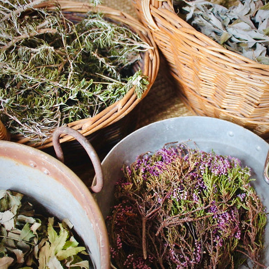 The Art of Medicinal Dyeing