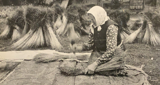 LETTER FROM A READER: LINEN STORIES