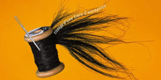 Le Crin dans tous ses éclats at Musée de la Toile de Jouy