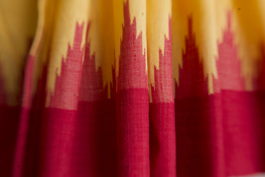 Dared to Dream: Bindu Vinodhan